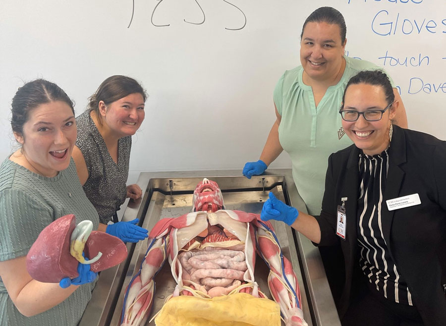 SynDaver anatomy model in lab.